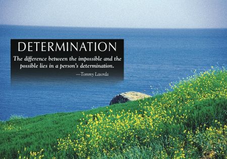 Real Estate Postcards 
