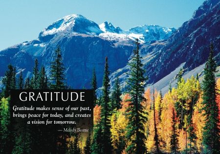 ReaMark Real Estate Postcards - Monthly Real Estate Prospecting Postcards