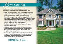 Real Estate Home Tips Postcards
