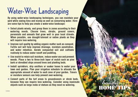 Real Estate Home Tips Postcards
