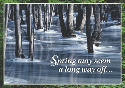 ReaMark Products: Spring May Seem