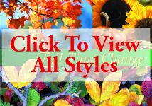 Clearance: Clearance Time Change Postcards