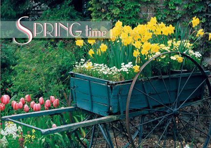 ReaMark Products: Springtime