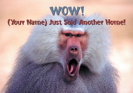 ReaMark Custom Real Estate Postcards - Choose from our Huge Real Estate Marketing Postcard Selection