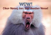 Postcards: WOW! Just Sold
