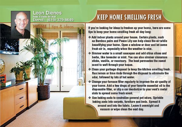Real Estate Home Tips Postcards