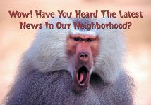 Just Listed/Just Sold: WOW! News