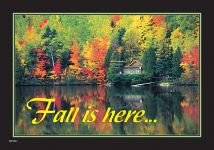 ReaMark Real Estate Postcards - Monthly Real Estate Prospecting Postcards