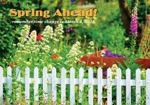 ReaMark Real Estate Postcards - Monthly Real Estate Prospecting Postcards