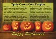 Holiday Cards: Carve Pumpkin