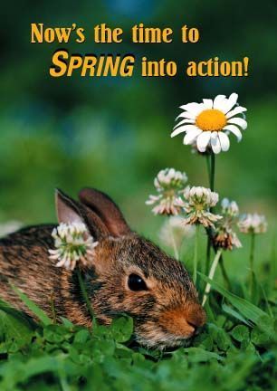 ReaMark Products: Spring Into Action!