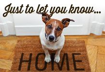 Custom Postcards for Real Estate Agents