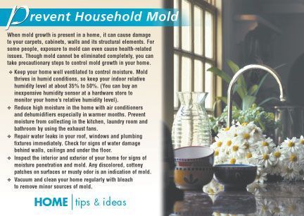 Real Estate Home Tips Postcards