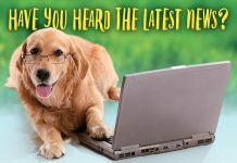 ReaMark Products: Dog with News