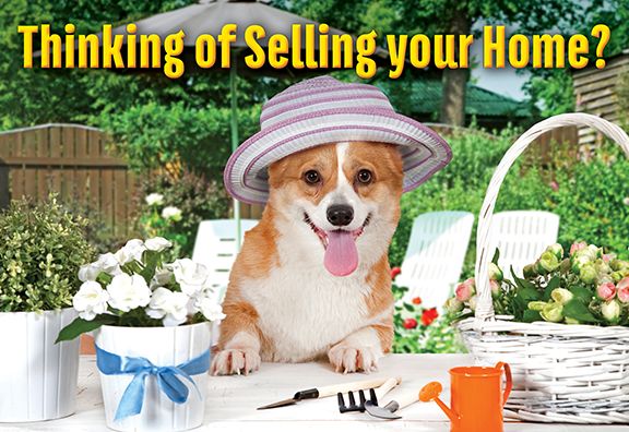 ReaMark Products: Selling Dog