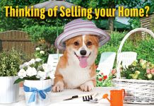 ReaMark Products: Selling Dog