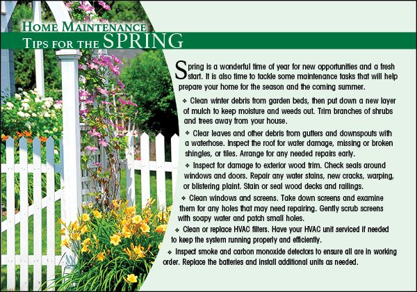 Real Estate Home Tips Postcards