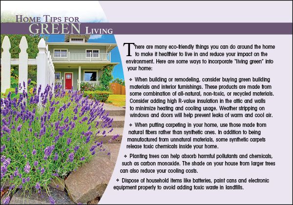 ReaMark Real Estate Marketing Postcards - Home Tips Real Estate Postcards