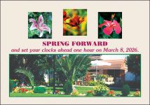 ReaMark Real Estate Postcards - Monthly Real Estate Prospecting Postcards