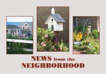Custom Postcards for Real Estate Agents