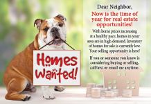 ReaMark Products: Homes Wanted Dog