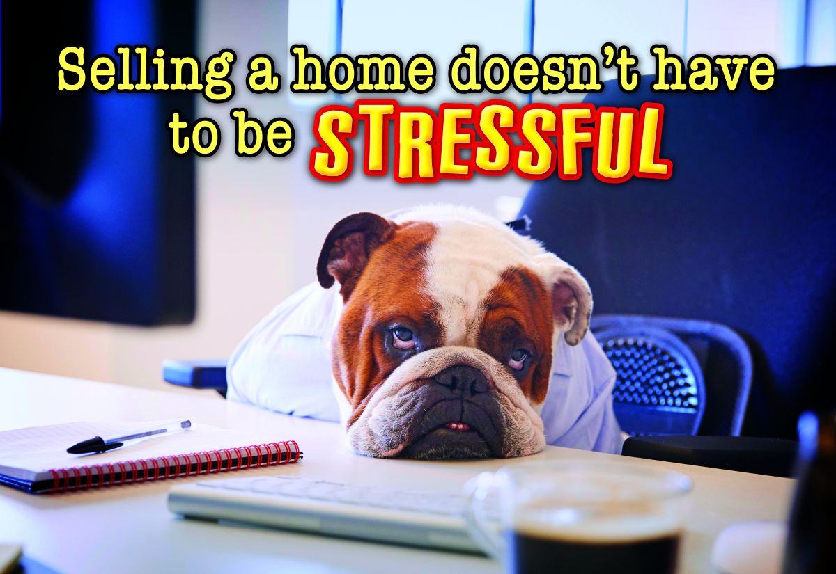 ReaMark Products: No Stress Selling Dog