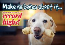 ReaMark Products: Make No Bones Dog
