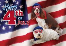 4th of July Real Estate Postcards