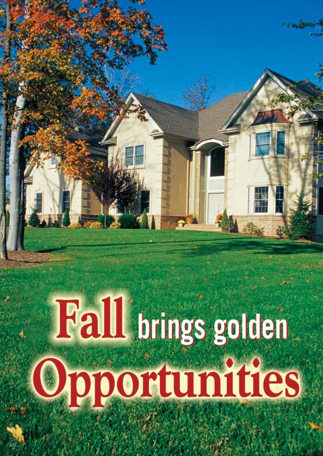 ReaMark Real Estate Postcards - Monthly Real Estate Prospecting Postcards