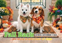 ReaMark Real Estate Postcards - Monthly Real Estate Prospecting Postcards