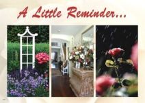 Real Estate Postcards