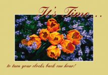 Real Estate Postcards