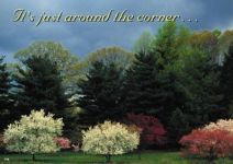 Real Estate Postcards