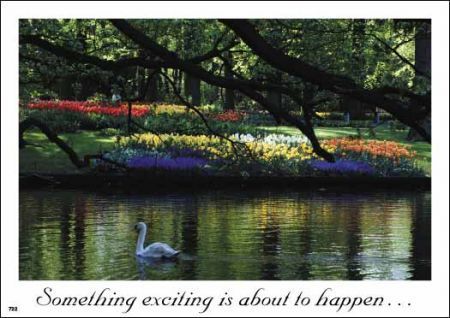 ReaMark Products: Something exciting