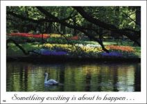 Real Estate Postcards