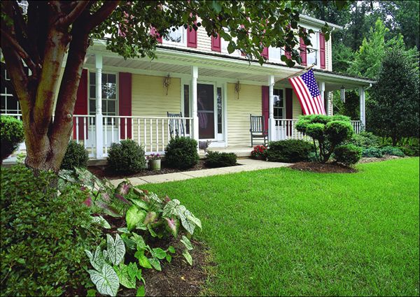4th of July Real Estate Postcards