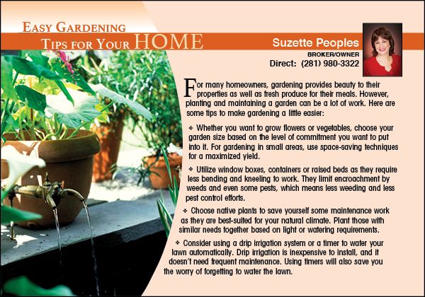 Real Estate Home Tips Postcards