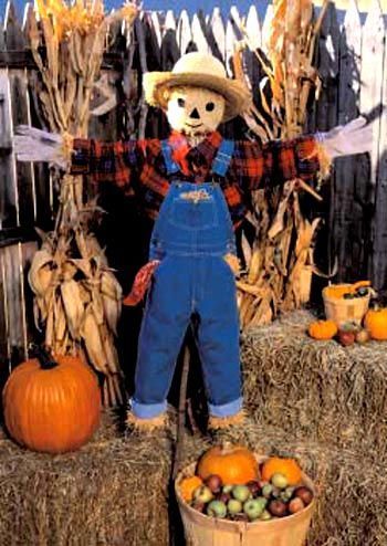 ReaMark Products: Scarecrow