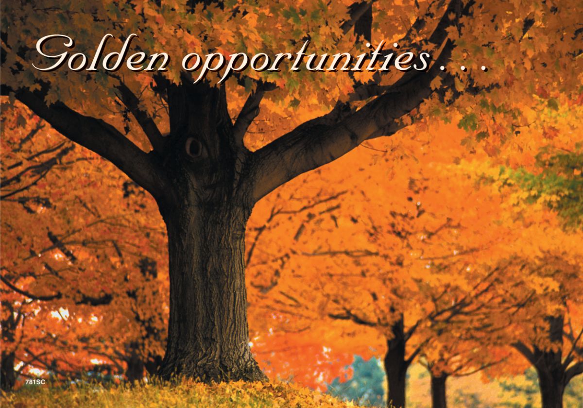 ReaMark Real Estate Postcards - Monthly Real Estate Prospecting Postcards