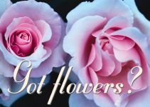 Monthly Prospecting: Got Flowers?