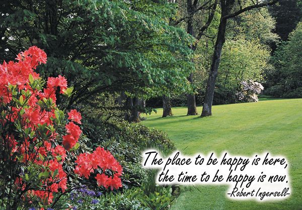 Real Estate Postcards 