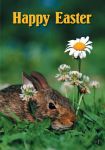 Monthly Prospecting: Easter Bunny
