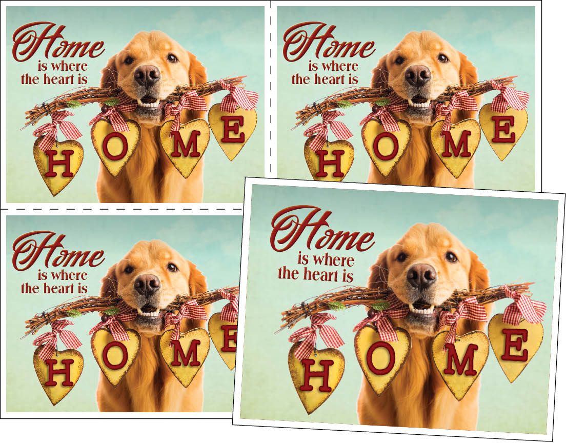 Real Estate Postcards 