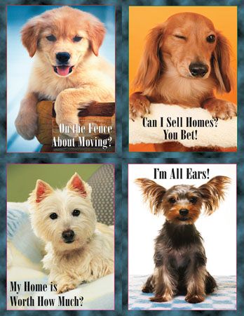 ReaMark Products: Dog Collection Bestsellers