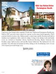 Real Estate Flyers
