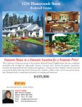 Real Estate Flyers