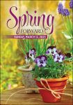 Postcards: Spring Time Change Postcards