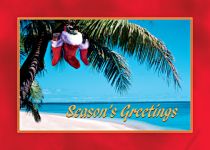 Clearance: Palm Stocking (Includes FREE Blank Envelopes)