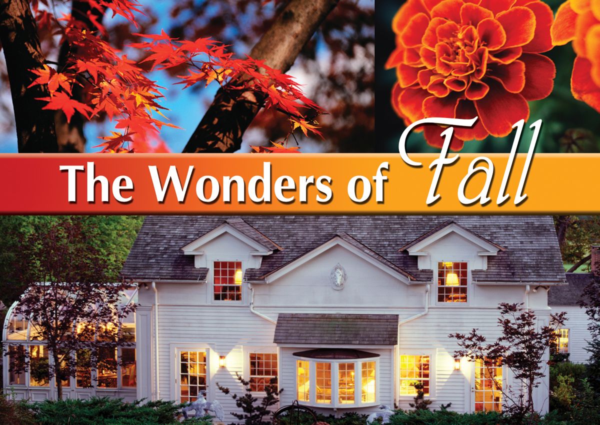 ReaMark Products: Wonders of Fall