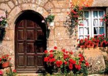 Clearance: Spring Door